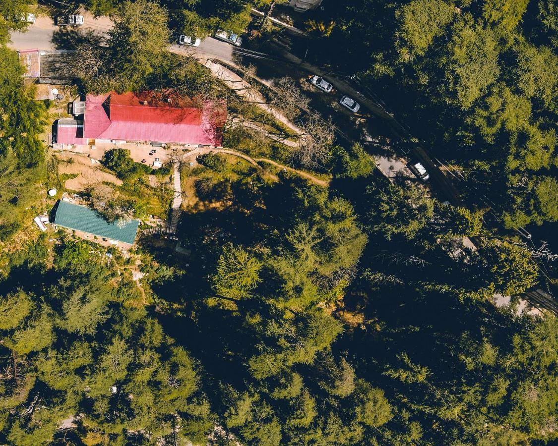 מלון Seclude Shimla, Taraview מראה חיצוני תמונה